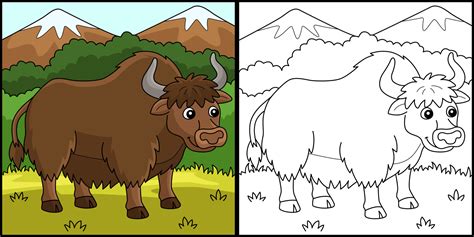 yak animal para colorear página color ilustración 10993739 Vector en