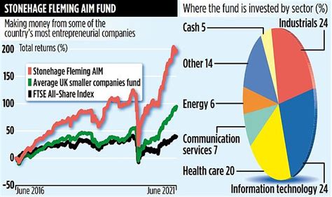 Stonehage Fleming Aim Fund Small Firm Fund Up 60 Readsector