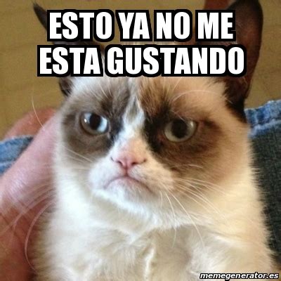 Meme Grumpy Cat Esto Ya No Me Esta Gustando 13616383