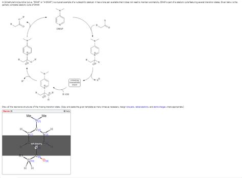 Solved 4 Dimethylamino Pyridine A K A DMAP Or 4 DMAP Chegg