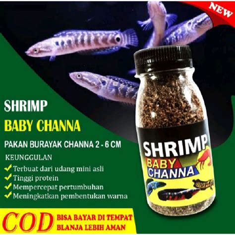 Jual Pakan Ikan Baby Channa Cm Udang Mini Pakan Burayak Anakan