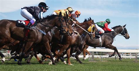 How To Read Horse Racing Odds Redland City Bulletin Cleveland Qld