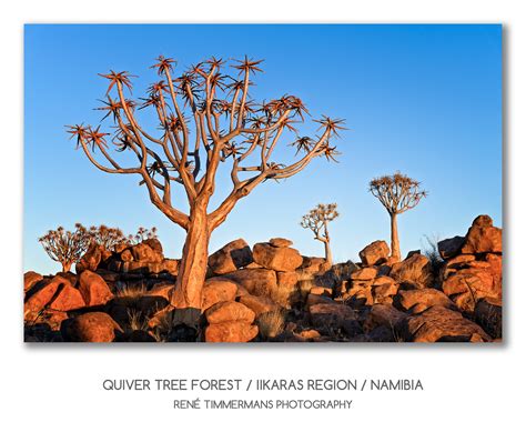 20191026-Keetmanshoop-Namibia-0165 | René Timmermans Photography