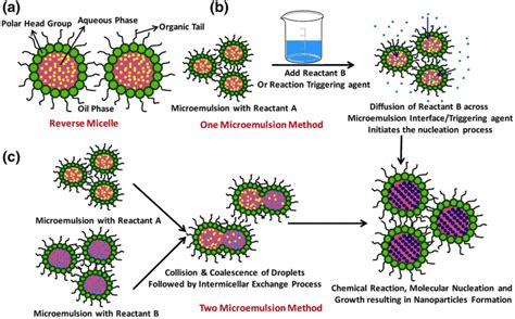 Schematic Diagrams Depicting Microemulsion Based Syntheses A Typical