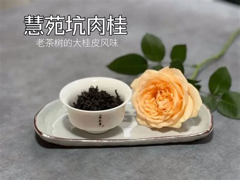 岩茶里，不同肉桂的差别能有多大？看完这3点，你就明白了百科ta说