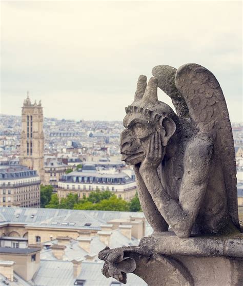 Notre Dame Grotesques Notre Dame Cathedral Notre Dame Gargoyles Notre