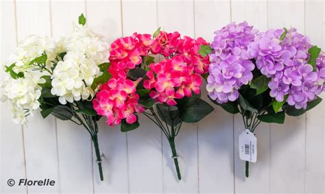 HYDRANGEA BUSH 3 COLS ASS Florelle