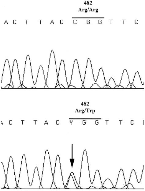 Sequence Analysis Of The Lmna Gene In The Propositus Is Demonstrated