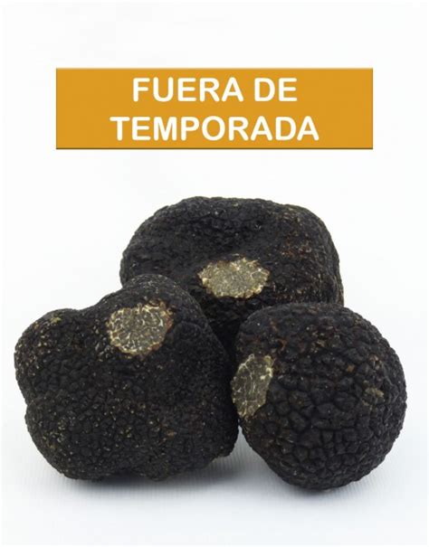 Trufa Negra De Invierno Tuber Melanosporum Fresca