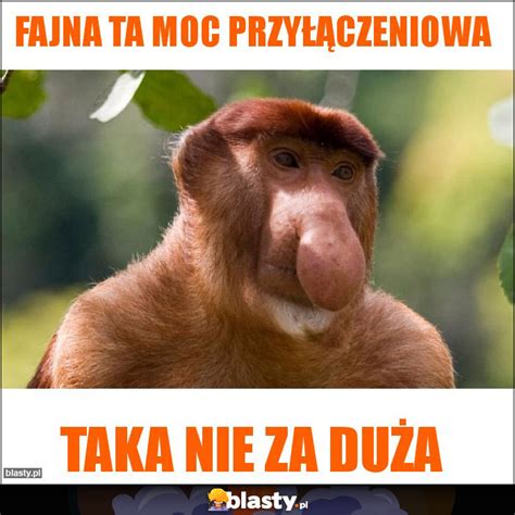 Fajna Ta Moc Przy Czeniowa Memy Gify I Mieszne Obrazki Facebook