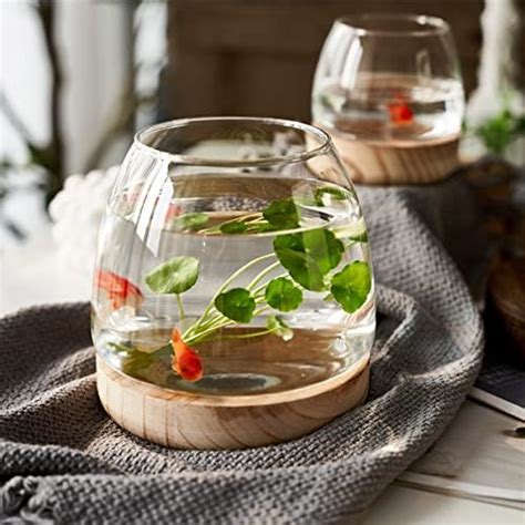 Amazon Zwmbyn Glass Fish Bowl Vase With Detachable Wood Base