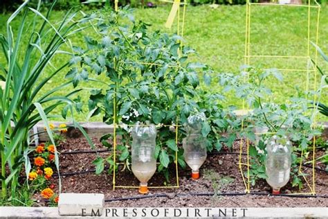 Smart & Simple Ways to Automate Your Garden Watering — Empress of Dirt