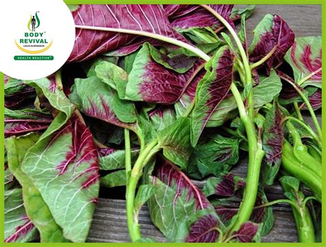 Top 10 Health Benefits Of Eating Amaranth Leaves Health Reactive