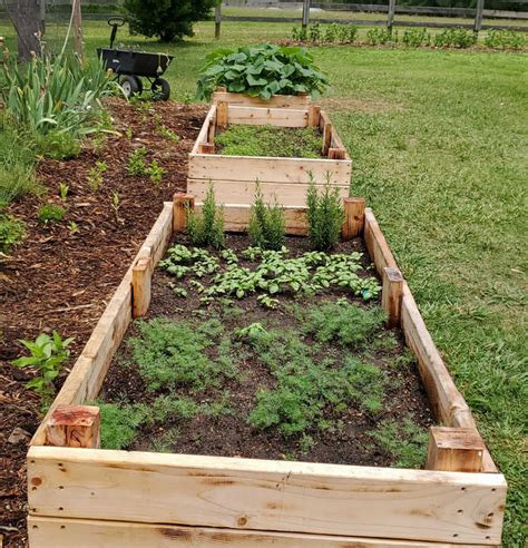 Exploring The Benefits Of Raised Bed Gardening Over Traditional