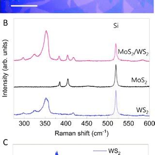 Characterization Of Mos Ws Heterobilayers A Optical Microscope