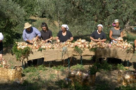 Le Sagre E Feste In Campania Cosa Fare Nel Weekend Dal Al