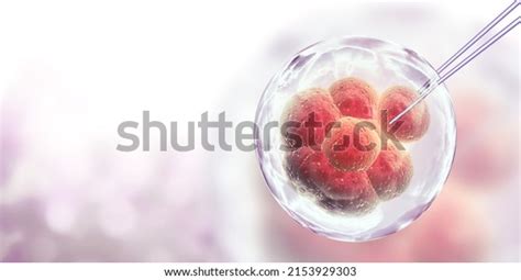 1,093 Modification Stems Images, Stock Photos & Vectors | Shutterstock