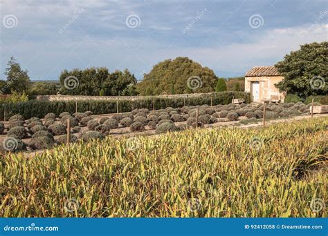 Scenic Countryside in Provence, France Stock Photo - Image of scenic ...