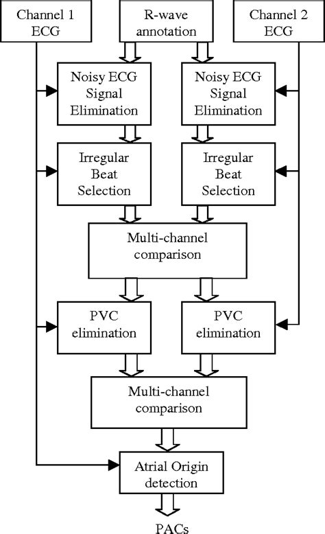 Figure 1 From Automatic Detection Of Conducted Premature Atrial