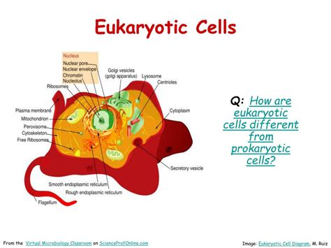 Ppt About Science Prof Online Powerpoint Resources Powerpoint Presentation Id4996744