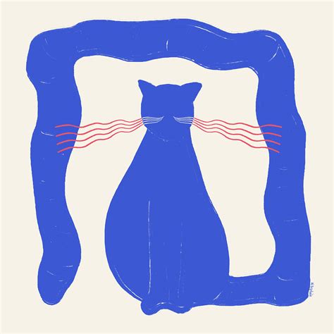 Blue Cat Collection on Behance