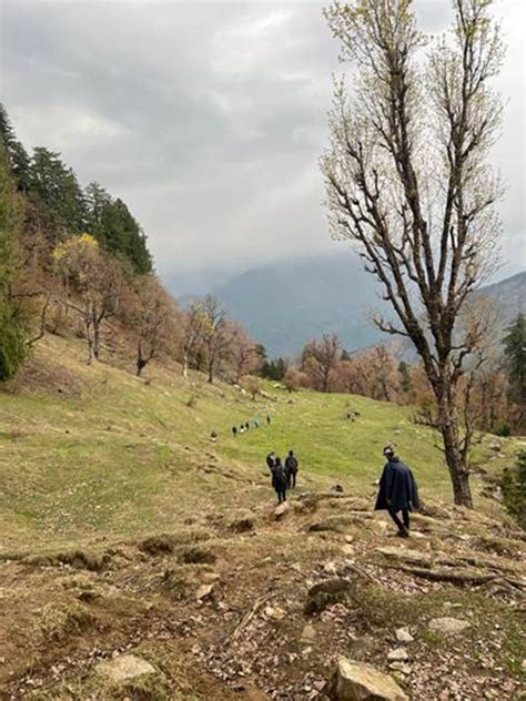 Trekking at Manali