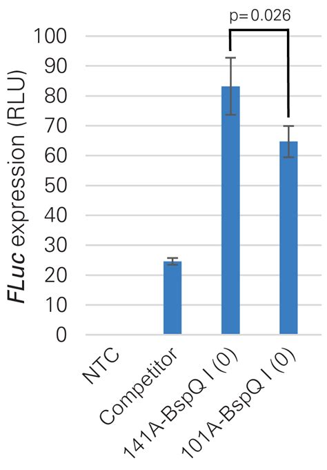 Template Vector Bspq I For T Mrna Synthesis