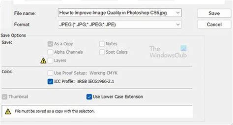 The Most Common Photoshop File Formats That You Can Use