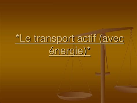 Ppt Lhom Ostasie Et La Membrane Plasmique Powerpoint Presentation