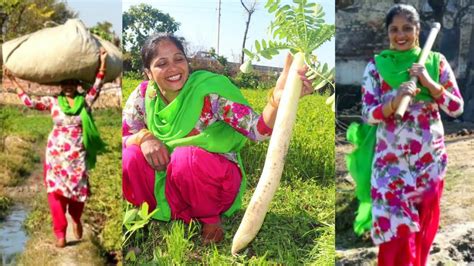 Village Lifestyle Of Punjab Indian Rural Life Of Punjabpind Life Gao