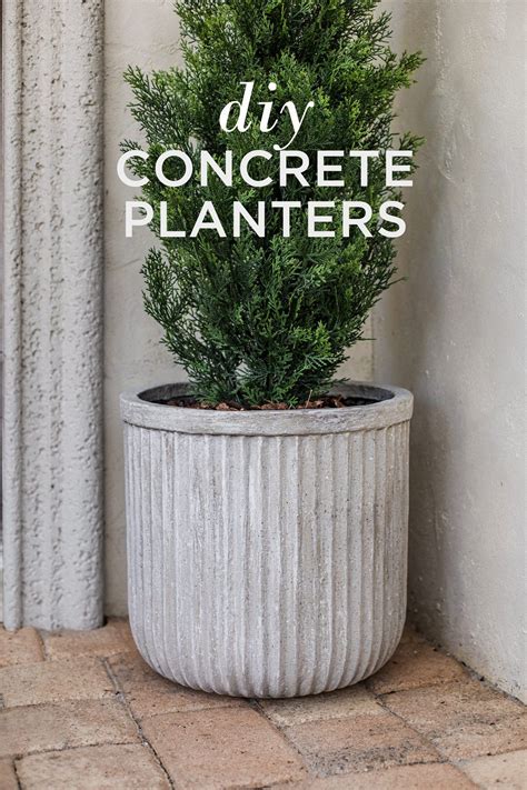 Diy Large Fluted Cement Planters Artofit