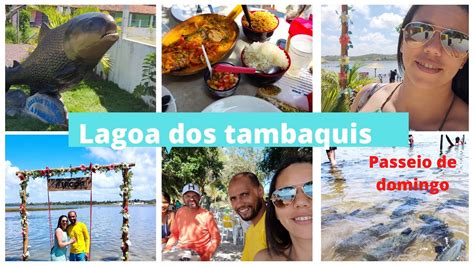 Vlog Lagoa Dos Tambaquis Abais Est Ncia Se Moqueca De Vermelha Nadando