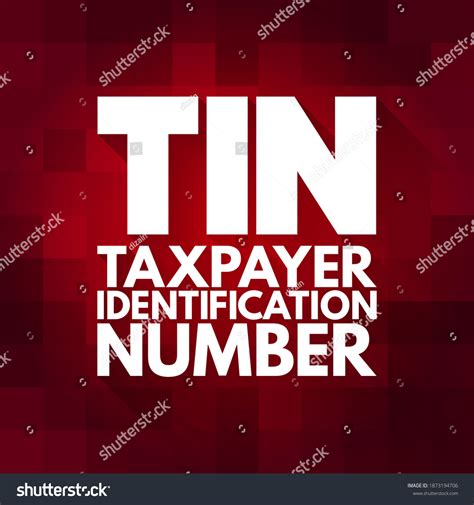 Tin Taxpayer Identification Number Identification Number Stock