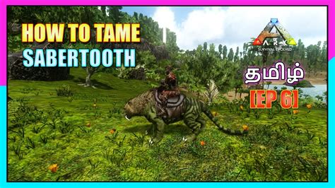 How To Tame Sabertooth Ark Mobile Tame Series Ep Mr Raptor