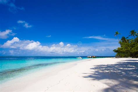 Maldives beach scene stock image. Image of holiday, horizon - 17643061