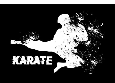 karate kick silhouette vector 6646406 Vector Art at Vecteezy