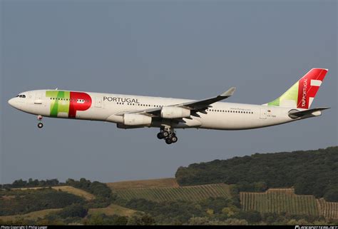 Cs Tod Tap Air Portugal Airbus A340 312 Photo By Philip Lueger Id