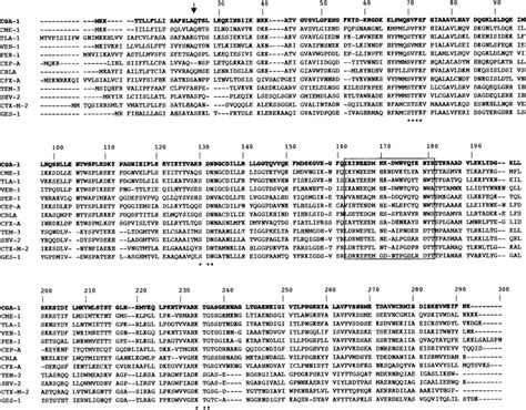 Amino Acid Sequence Comparison Of 12 Representative Class A Esbls The