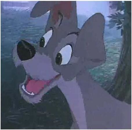 Lady and the Tramp Screenshots - Lady and Tramp Image (9564422) - Fanpop