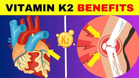 Vitamin K2 Benefits Vitamin K2 And D3 Health Benefits Of Vitamin K2 Youtube