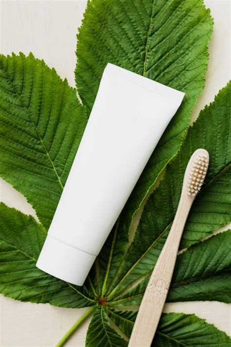 White Toothpaste Tube And Wooden Toothbrush On Big Green Leaf · Free