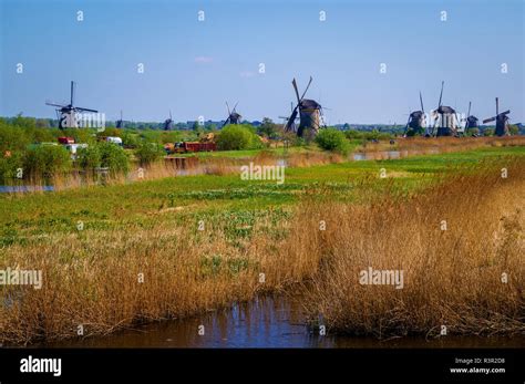 Typical Dutch Polder Landscape With Traditional Windmills Stock Photo