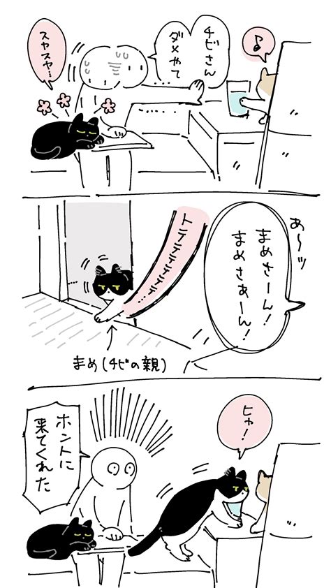 Akr5巻は720 On Twitter 天才親切キャットまめさんが物理的パワーで助けてくれたときの絵日記3枚 ろんの絵日記