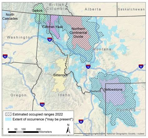 If Grizzlies Delisted, Here's What Montana Plans to do