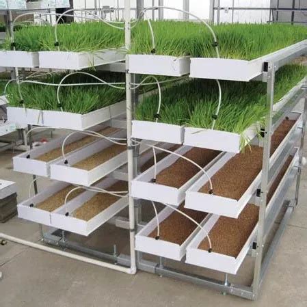 Plastic Hydroponic Barley Gutter Sprouting Seedling Tray For Fodder