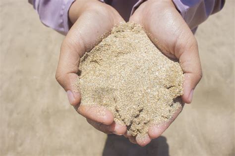 Hand Hold Beach Sand Stock Image Image Of Blue Powder