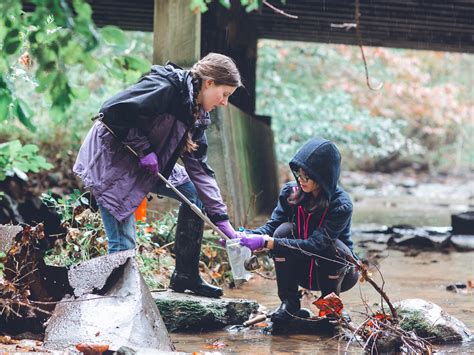 Researchers track hurricane’s effects on river pollution and beneficial