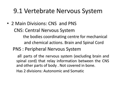 Ppt 9 1 Vertebrate Nervous System Powerpoint Presentation Free