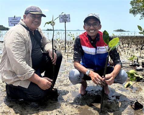 Sambut Hut Ke Pertamina Patra Niaga Regional Sumbagut Tanam