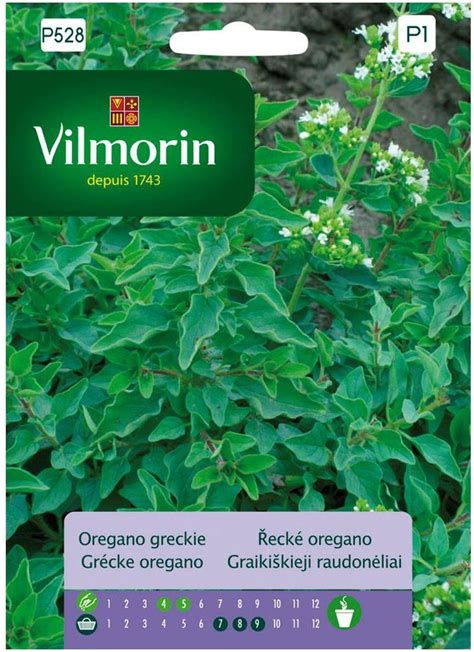 Oregano Greckie Nasiona Tradycyjne G Vilmorin Ceny I Opinie